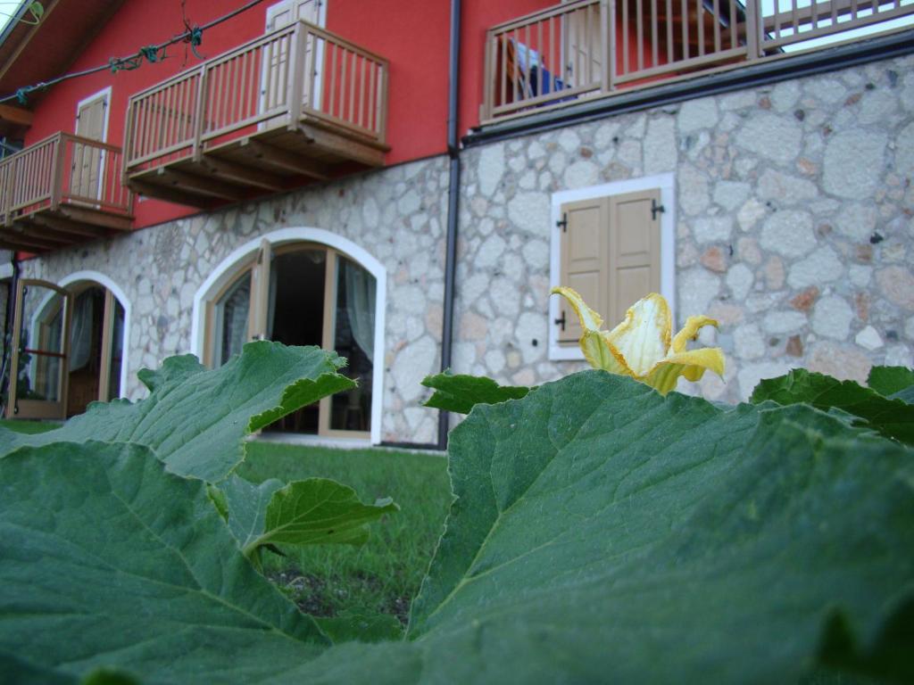 הוילה Villa Lagarina Agritur Maso Spezial מראה חיצוני תמונה