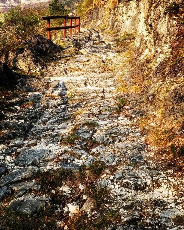 הוילה Villa Lagarina Agritur Maso Spezial מראה חיצוני תמונה